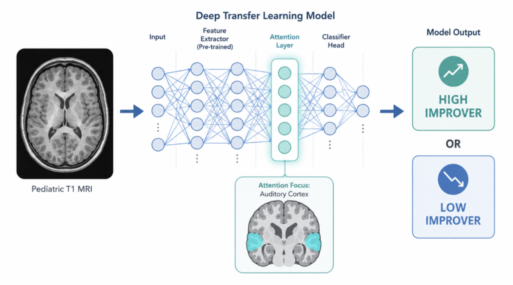 AI cochlear implant speech prediction pipeline reading a pre-surgical brain MRI to forecast a child's language outcome