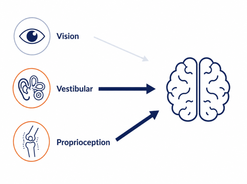 Diagram showing sensory reweighting: visual, vestibular, and proprioceptive input under normal vs. stroboscopic training conditions