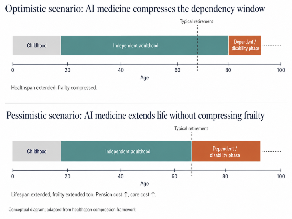 A two-panel diagram contrasting the optimistic scenario (AI compressing the disability window at the end of life) with the pessimistic scenario (AI extending lifespan without compressing frailty, widening the dependency gap).