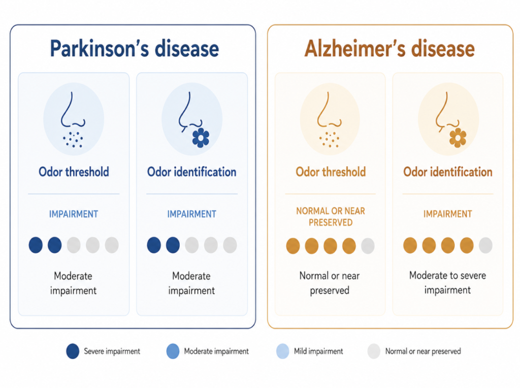 Smell Loss and Brain Disease diagram: Comparison graphic showing that Parkinson's disease impairs both odor threshold and identification, whereas Alzheimer's disease mainly impairs odor identification.