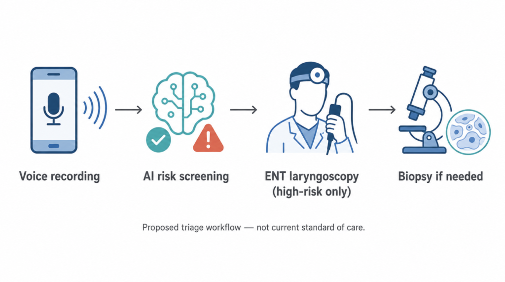 Proposed voice-based triage workflow for laryngeal cancer detection: smartphone voice recording, AI risk screening, ENT laryngoscopy, biopsy