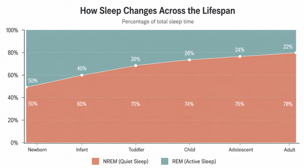REM and NREM sleep percentage changes by age from newborn to adult