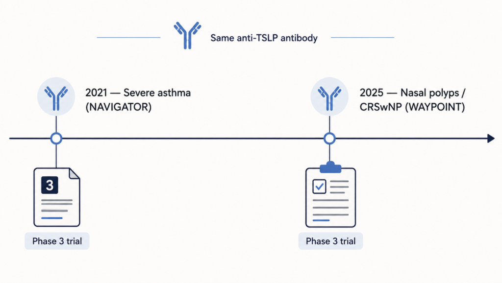 Timeline showing the same anti-TSLP antibody approved for severe asthma in 2021 (NAVIGATOR) and for nasal polyps in 2025 (WAYPOINT), each based on a separate Phase 3 trial.