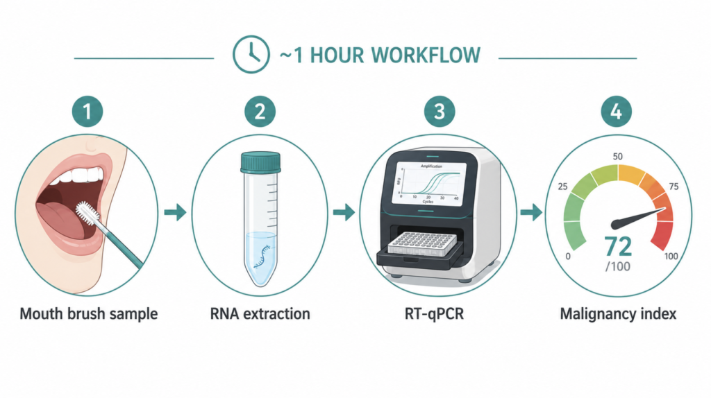 qMIDS-V3 brush swab workflow from oral sampling to a malignancy index score in under an hour.