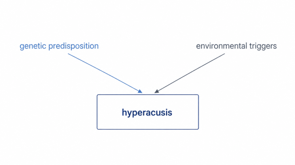 Diagram showing genetic predisposition and environmental triggers combining to cause hyperacusis