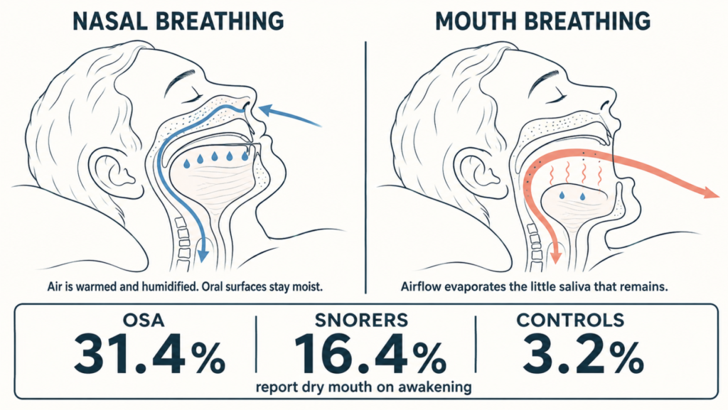 Diagram contrasting nasal and mouth breathing during sleep as a cause of morning dry mouth