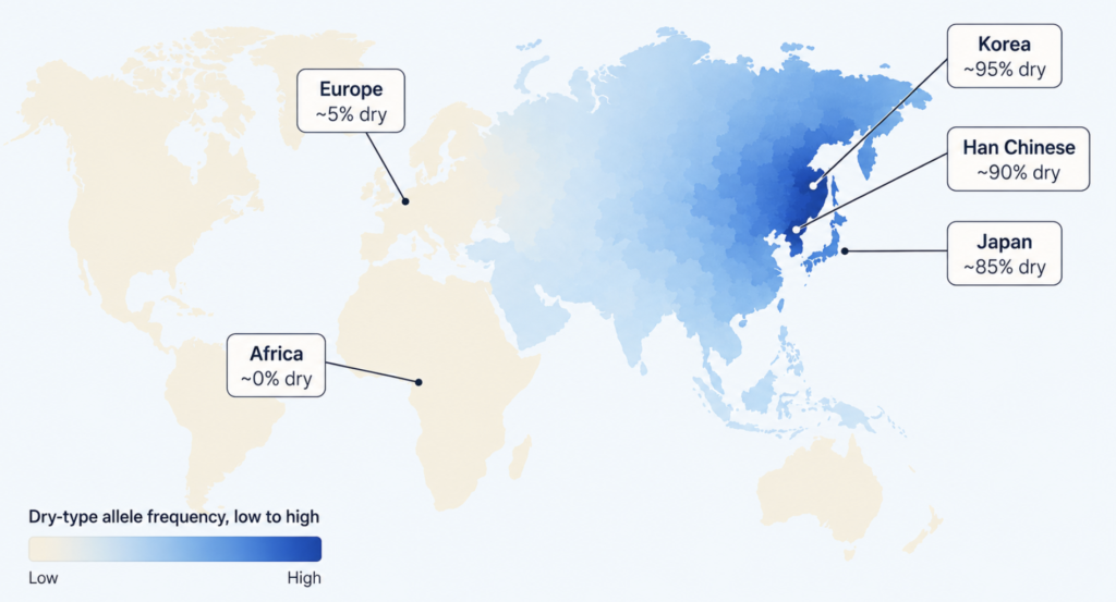 World map of dry earwax ABCC11 allele frequency, highest in northeast Asia and near zero in Africa