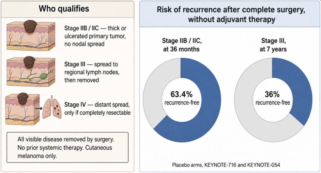 Two-panel diagram showing which melanoma stages qualify for adjuvant therapy after complete surgical resection, alongside placebo-arm recurrence-free rates of 63.4% at 36 months in stage IIB/IIC and 36% at seven years in stage III.