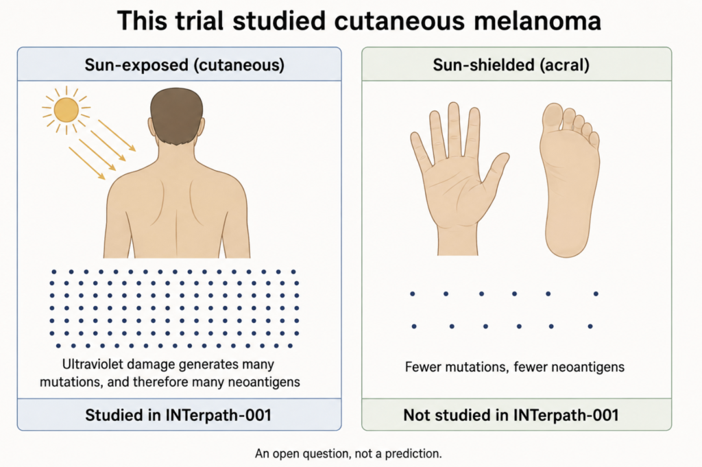 Comparison of sun-exposed cutaneous melanoma and sun-shielded acral melanoma, illustrating that ultraviolet-driven mutation burden differs by anatomical site and that INTerpath-001 enrolled cutaneous disease only. No outcome or prognosis is depicted.