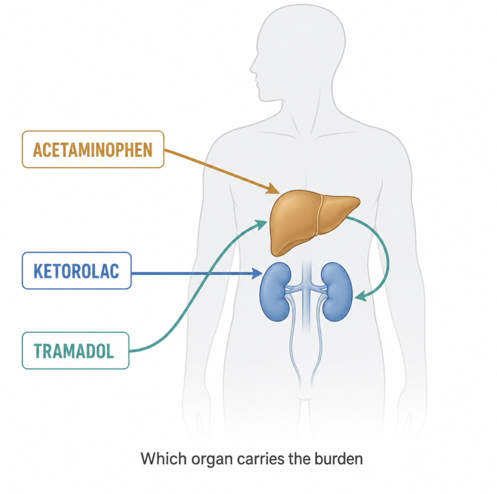 Diagram of elimination routes — ketorolac to the kidneys, acetaminophen to the liver, tramadol through liver then kidneys