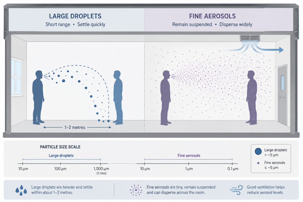 Comparison of droplet deposition and aerosol inhalation as respiratory transmission routes.