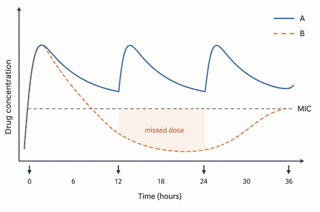 Result of skipping antibiotics doses : A line graph comparing beta-lactam blood concentration under regular dosing versus a missed dose, showing the concentration falling below the minimum inhibitory concentration during the missed interval.