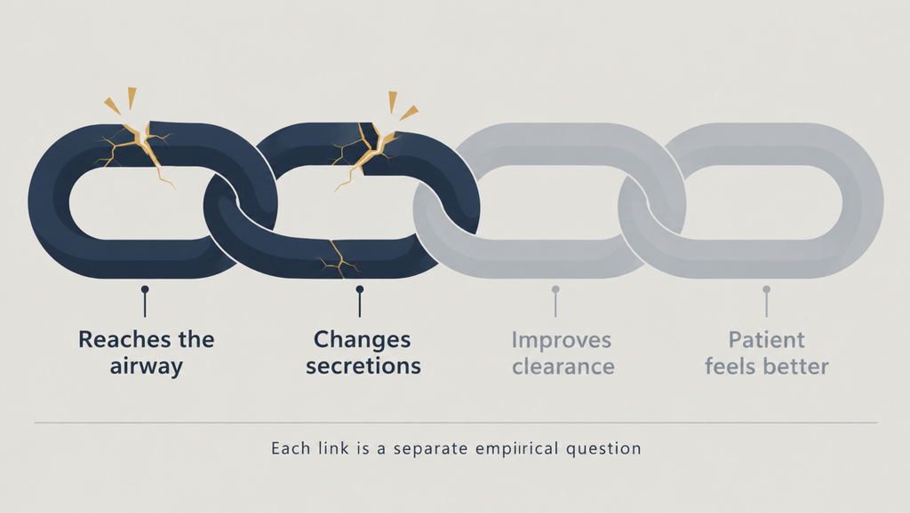 Four-link chain showing what must be true for a mucolytic to help a patient, with the first two links fractured