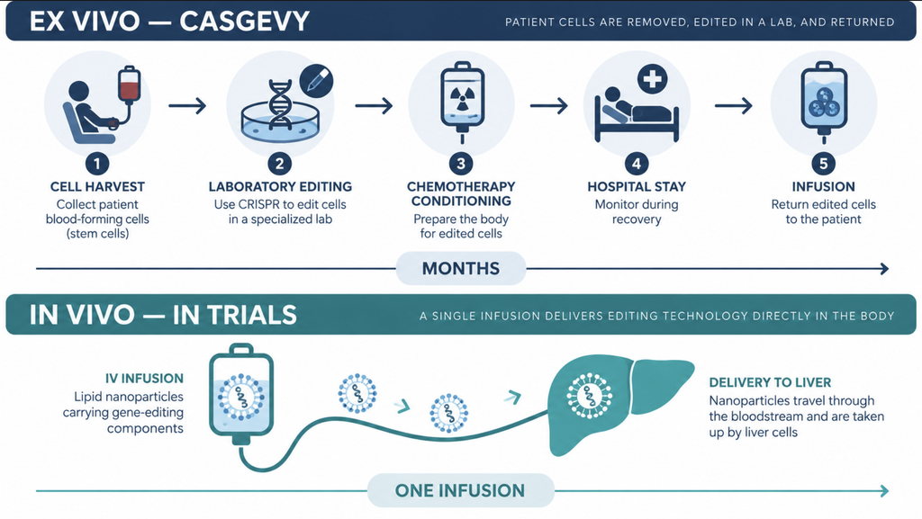 Comparison of the multi-step ex vivo process used by the first approved CRISPR therapy versus single-infusion in vivo editing