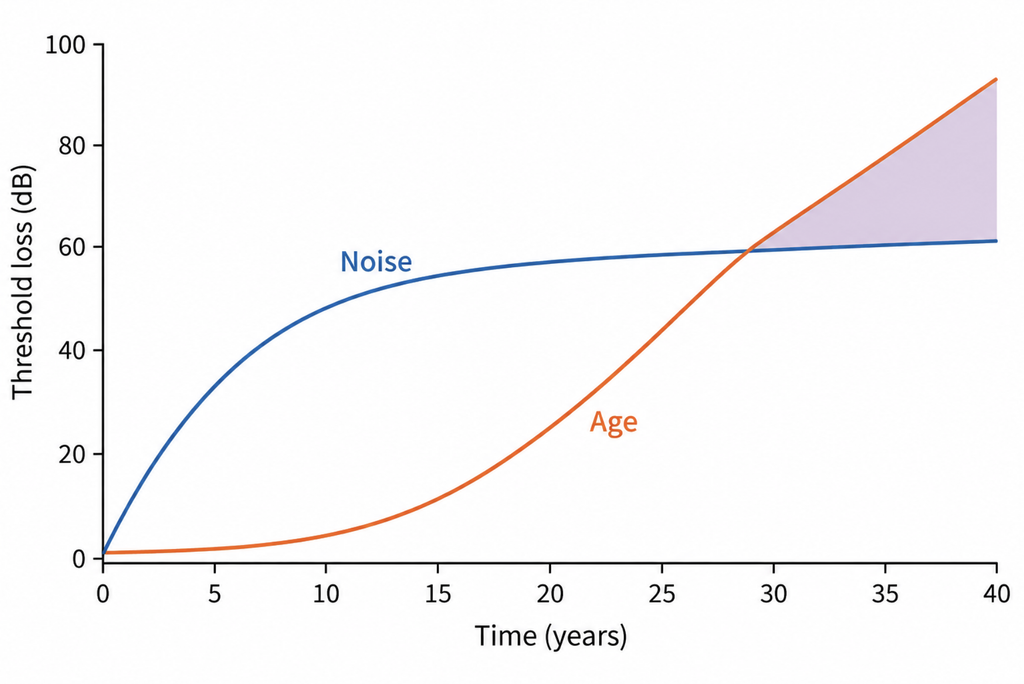 Timeline contrasting noise-induced threshold loss, steep early then decelerating, with age-related loss, which accelerates.