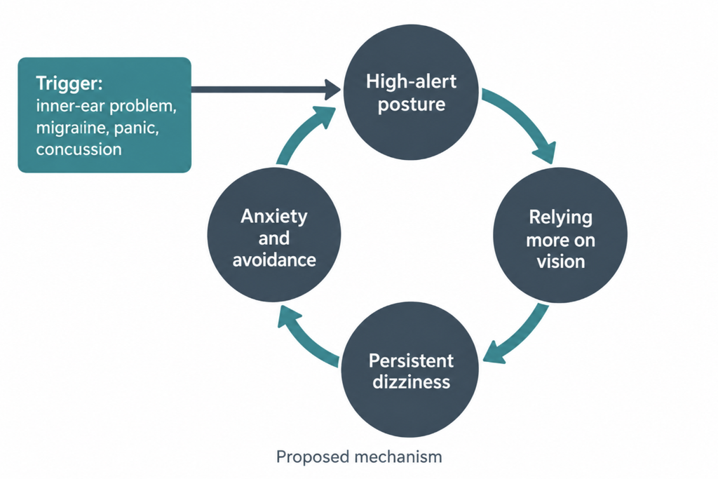 Loop diagram of the proposed PPPD mechanism, in which a trigger leads to high-alert posture, visual dependence, persistent dizziness, and anxiety that feed back into one another