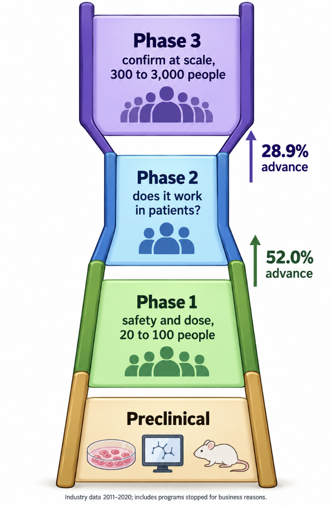 Ladder of drug development stages from preclinical work through phase 1, phase 2, and phase 3, marking where most candidates drop out.