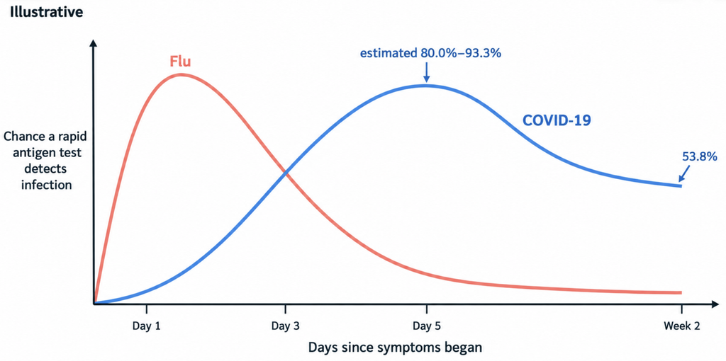 When to Test for Flu or COVID: Illustrative chart of how influenza and COVID-19 antigen detection rise and fall across the first two weeks of symptoms.
