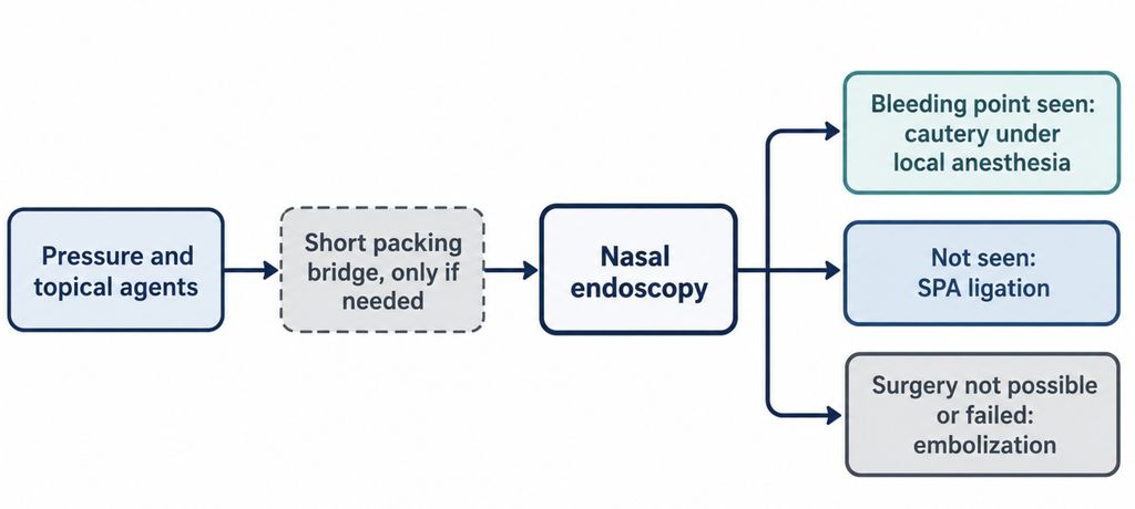 Flowchart of posterior nosebleed care from pressure and topical agents to nasal endoscopy, then cautery, sphenopalatine artery ligation, or embolization
